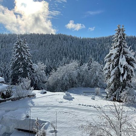 Hotel Haus Am Waldrand Flims Exterior photo